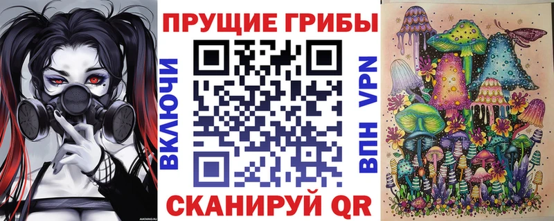 где найти   Павловский Посад  Псилоцибиновые грибы мухоморы 